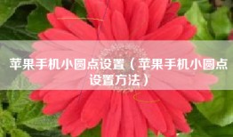 苹果手机小圆点设置（苹果手机小圆点设置方法）