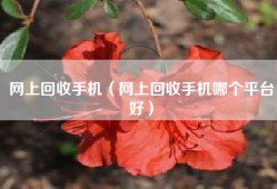 网上回收手机（网上回收手机哪个平台好）