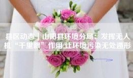 县区动态｜山阳县环境分局：发挥无人机“千里眼”作用 让环境污染无处遁形
