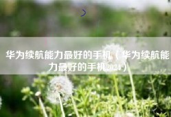 华为续航能力最好的手机（华为续航能力最好的手机2024）