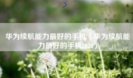 华为续航能力最好的手机（华为续航能力最好的手机2024）