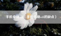 手机中继wifi（手机中继wifi的缺点）