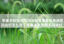 苹果手机如何关闪光灯苹果手机来消息闪光灯怎么开「苹果手机如何关闪光灯」