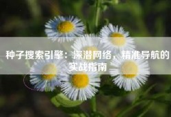 种子搜索引擎：深潜网络，精准导航的实战指南