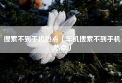 搜索不到手机热点（车机搜索不到手机热点）