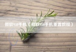 微软950手机（微软950手机重置教程）