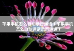 苹果手机怎么自动录音通话（苹果手机怎么自动通话录音通话）