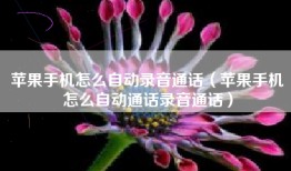 苹果手机怎么自动录音通话（苹果手机怎么自动通话录音通话）