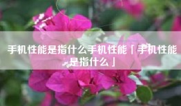 手机性能是指什么手机性能「手机性能是指什么」
