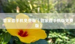 管家婆手机免费版（管家婆手机版免费版）