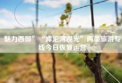 魅力西部”“滹沱河观光”两条旅游专线今日恢复运营