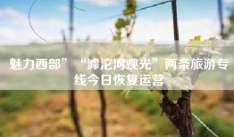 魅力西部”“滹沱河观光”两条旅游专线今日恢复运营
