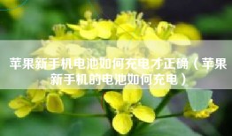 苹果新手机电池如何充电才正确（苹果新手机的电池如何充电）