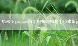 小米10 prodxomark手机拍照排名「小米10 pro」