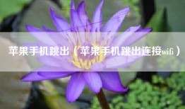 苹果手机跳出（苹果手机跳出连接wifi）