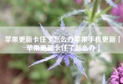 苹果更新卡住了怎么办苹果手机更新「苹果更新卡住了怎么办」