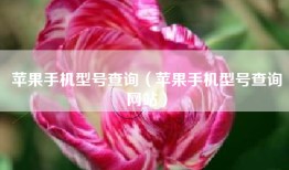 苹果手机型号查询（苹果手机型号查询网站）