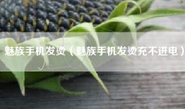 魅族手机发烫（魅族手机发烫充不进电）