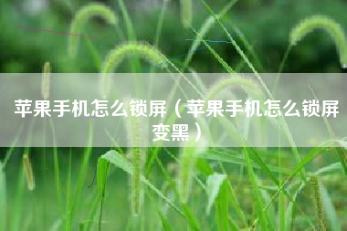 苹果手机怎么锁屏（苹果手机怎么锁屏变黑）