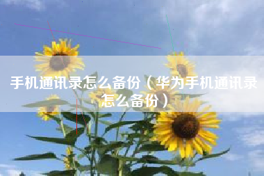 手机通讯录怎么备份（华为手机通讯录怎么备份）