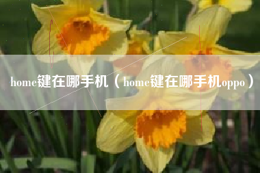 home键在哪手机（home键在哪手机oppo）