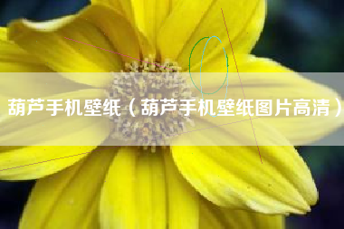 葫芦手机壁纸（葫芦手机壁纸图片高清）