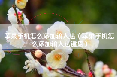 苹果手机怎么添加输入法（苹果手机怎么添加输入法键盘）