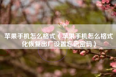 苹果手机怎么格式（苹果手机怎么格式化恢复出厂设置忘记密码）