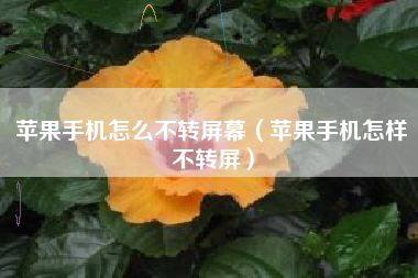 苹果手机怎么不转屏幕（苹果手机怎样不转屏）