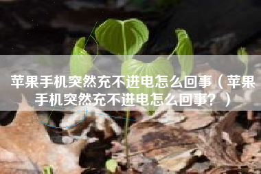 苹果手机突然充不进电怎么回事（苹果手机突然充不进电怎么回事？）