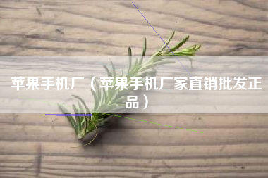 苹果手机厂（苹果手机厂家直销批发正品）