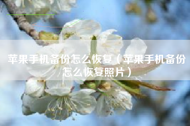 苹果手机备份怎么恢复（苹果手机备份怎么恢复照片）