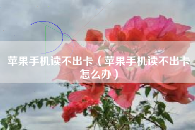 苹果手机读不出卡（苹果手机读不出卡怎么办）