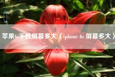 苹果6s手机屏幕多大（iphone 6s 屏幕多大）