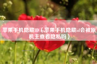 苹果手机隐藏ID（苹果手机隐藏id会被原机主查看隐私吗）