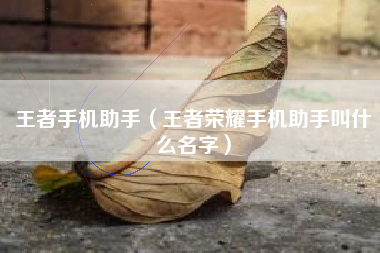 王者手机助手（王者荣耀手机助手叫什么名字）