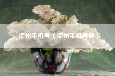 福州手机号（福州手机号码）