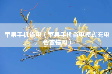 苹果手机省电（苹果手机省电模式充电会变慢吗）