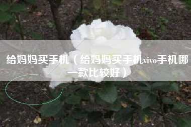 给妈妈买手机（给妈妈买手机vivo手机哪一款比较好）