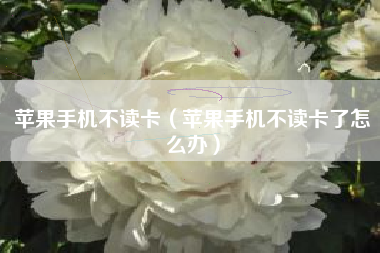 苹果手机不读卡（苹果手机不读卡了怎么办）