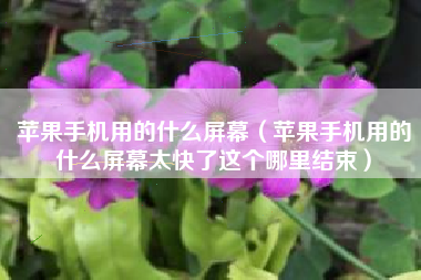 苹果手机用的什么屏幕（苹果手机用的什么屏幕太快了这个哪里结束）