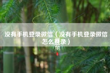 没有手机登录微信（没有手机登录微信怎么登录）