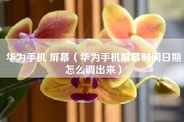 华为手机 屏幕（华为手机屏幕时间日期怎么调出来）