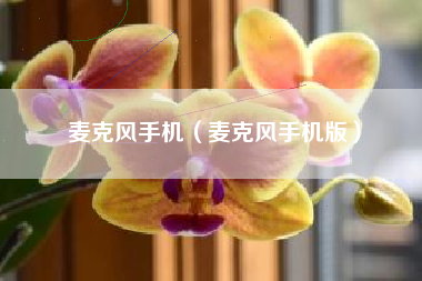 麦克风手机（麦克风手机版）