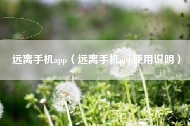 远离手机app（远离手机app使用说明）