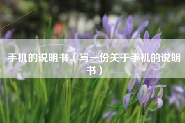 手机的说明书（写一份关于手机的说明书）