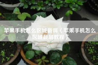 苹果手机怎么区域截屏（苹果手机怎么区域截屏教程）