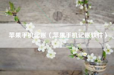 苹果手机记账（苹果手机记账软件）