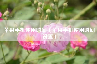 苹果手机使用时间（苹果手机使用时间设置）