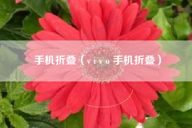 手机折叠（v i v o 手机折叠）